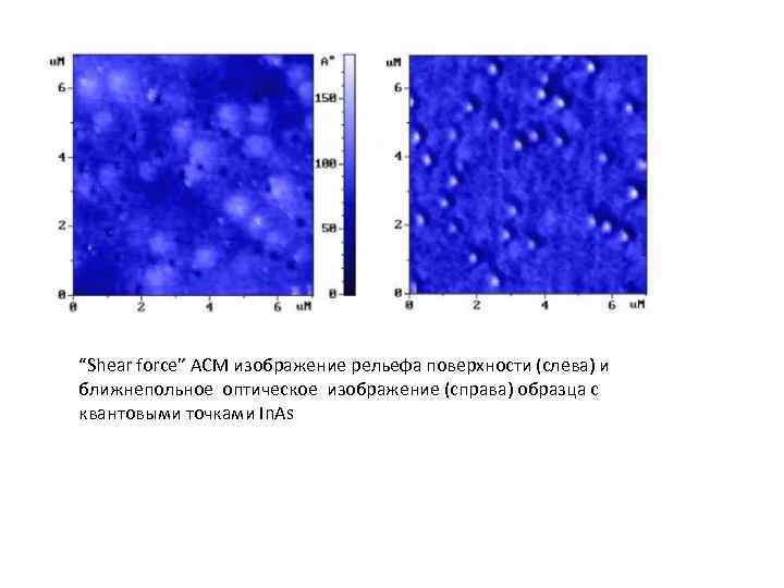 “Shear force” АСМ изображение рельефа поверхности (слева) и ближнепольное оптическое изображение (справа) образца с