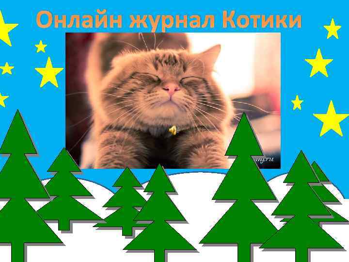 Онлайн журнал Котики 