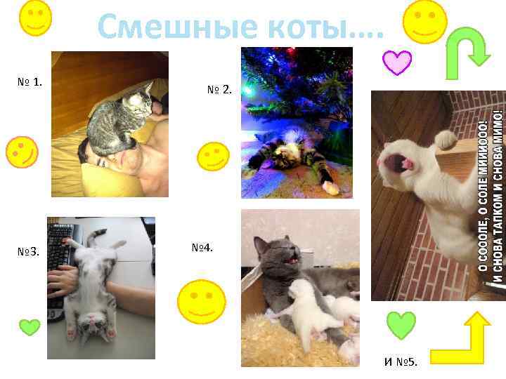 Смешные коты…. № 1. № 3. № 2. № 4. И № 5. 
