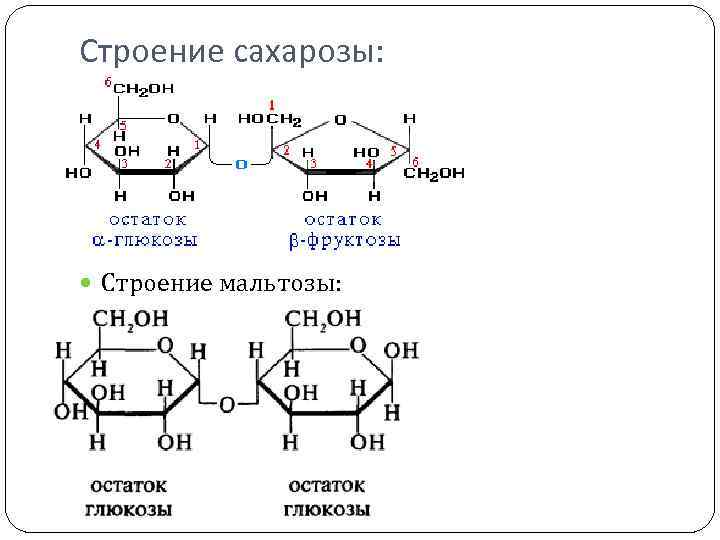 Строение сахарозы: Строение мальтозы: 