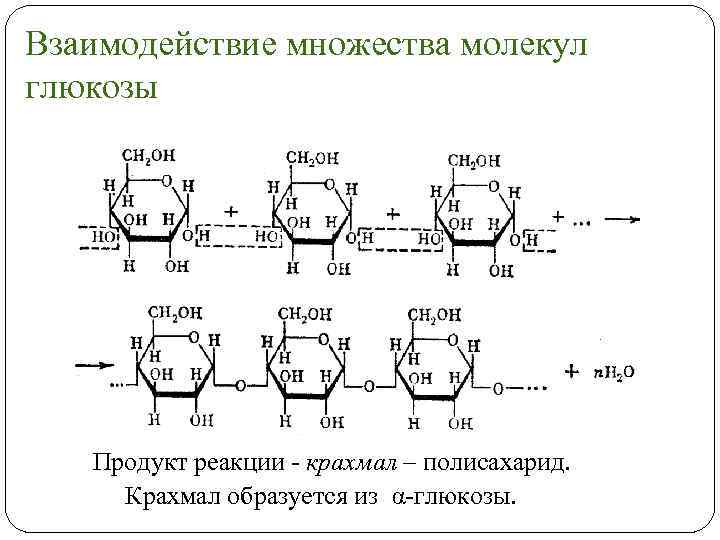 Презентация дисахариды 10 класс