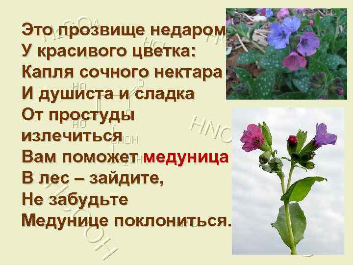 Это прозвище недаром У красивого цветка: Капля сочного нектара И душиста и сладка От