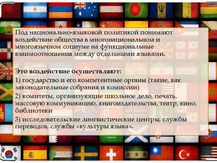 Под национально-языковой политикой понимают воздействие общества в многонациональном и многоязычном социуме на функциональные взаимоотношения