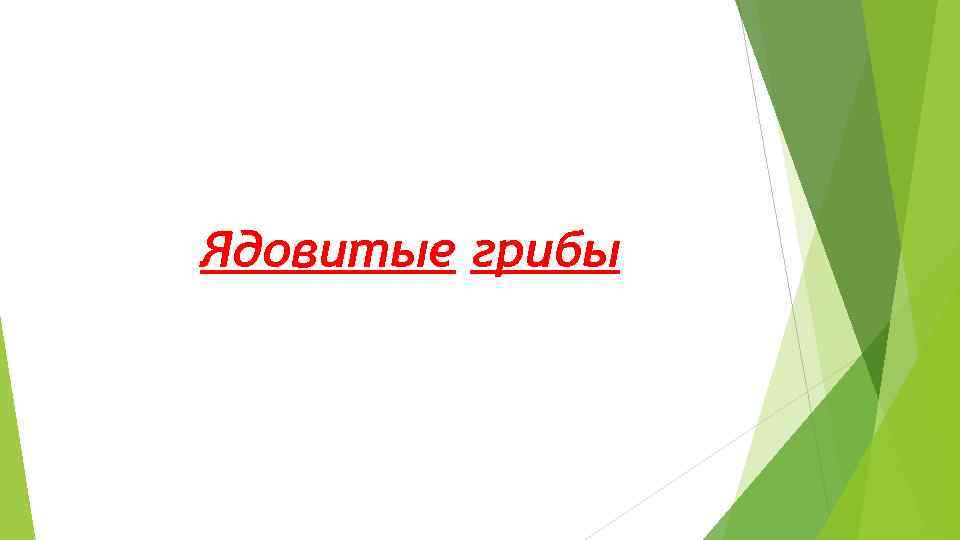 Ядовитые грибы 