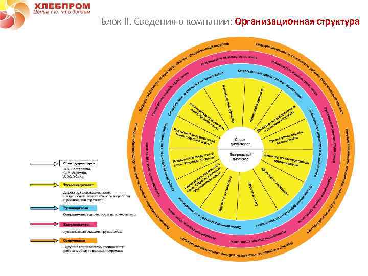 Блок II. Сведения о компании: Организационная структура Интересный факт: средний возраст сотрудника компании 37