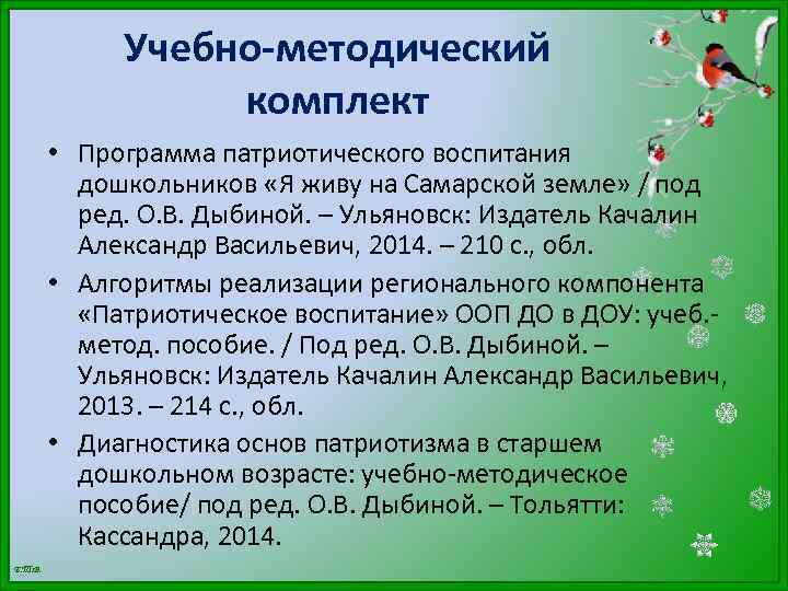 Учебно-методический комплект • Программа патриотического воспитания дошкольников «Я живу на Самарской земле» / под