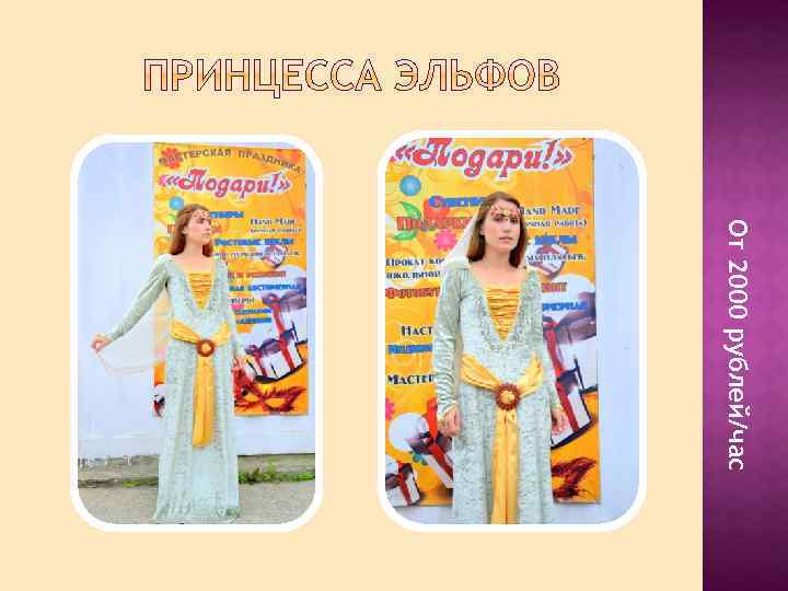 От 2000 рублей/час 