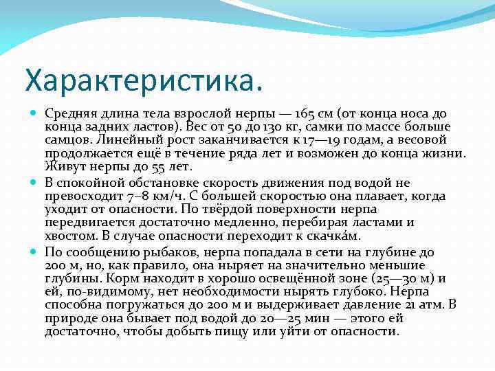 Характеристика. Средняя длина тела взрослой нерпы — 165 см (от конца носа до конца