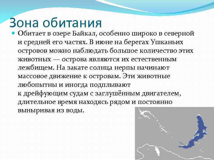 Зона обитания Обитает в озере Байкал, особенно широко в северной и средней его частях.