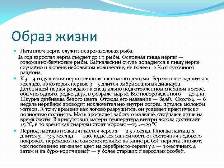 Образ жизни Питанием нерпе служит непромысловая рыба. За год взрослая нерпа съедает до 1