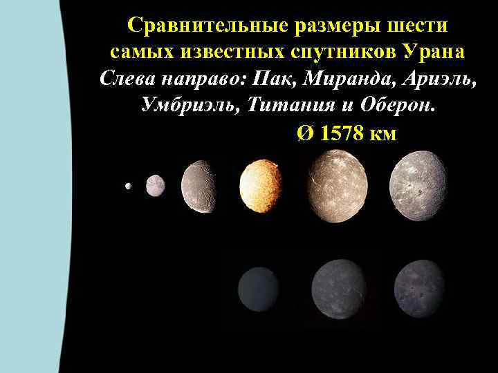Сравнительные размеры шести самых известных спутников Урана Слева направо: Пак, Миранда, Ариэль, Умбриэль, Титания
