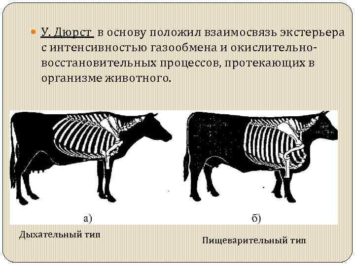 Положить в основу