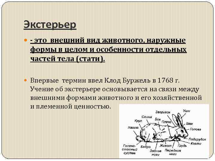 Оценка по экстерьеру