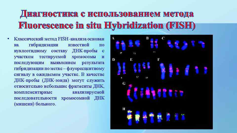 Диагностика с использованием метода Fluorescence in situ Hybridization (FISH) • Классический метод FISH-анализа основан