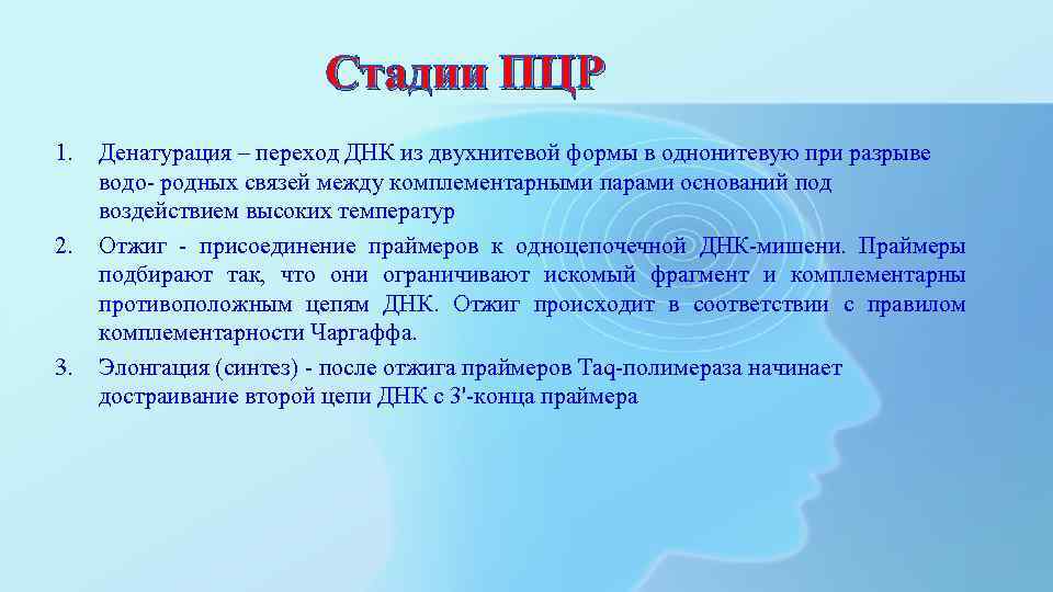 Стадии ПЦР 1. 2. 3. Денатурация – переход ДНК из двухнитевой формы в однонитевую