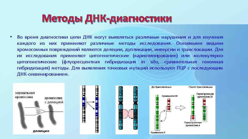 Методы ДНК-диагностики • Во время диагностики цепи ДНК могут выявляться различные нарушения и для