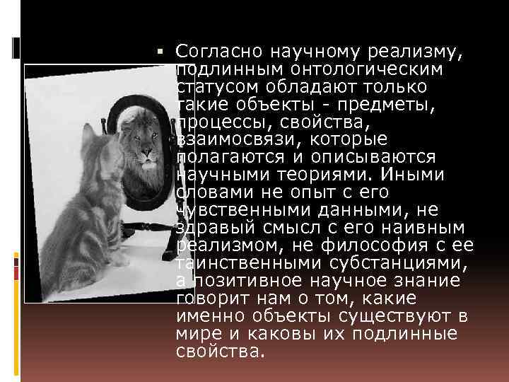  Согласно научному реализму, подлинным онтологическим статусом обладают только такие объекты - предметы, процессы,