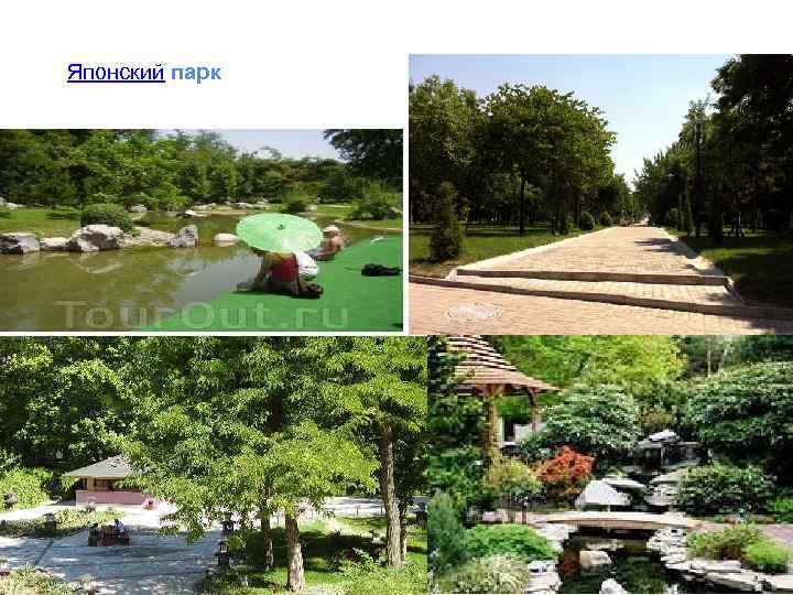 Японский парк 