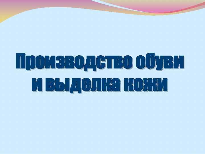 Производство обуви и выделка кожи 