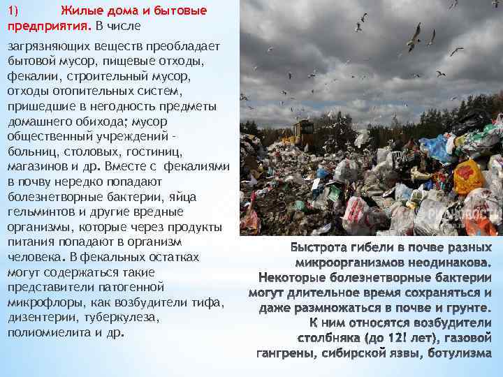 1) Жилые дома и бытовые предприятия. В числе загрязняющих веществ преобладает бытовой мусор, пищевые