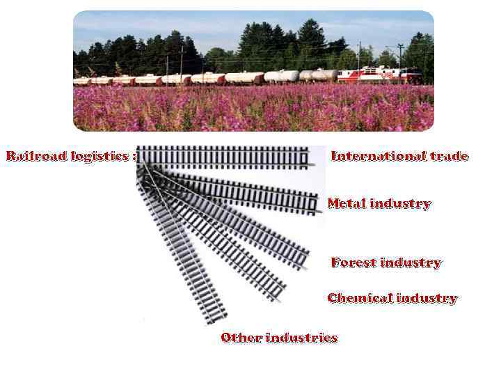 Railroad logistics : International trade Metal industry Forest industry Chemical industry Other industries 