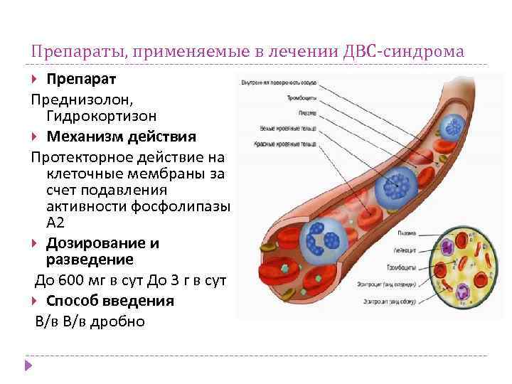 Препараты, применяемые в лечении ДВС-синдрома Препарат Преднизолон, Гидрокортизон Механизм действия Протекторное действие на клеточные