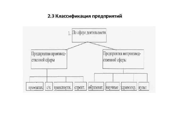 2. 3 Классификация предприятий 