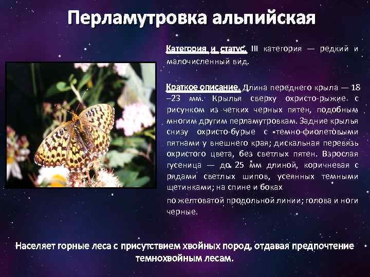 Перламутровка альпийская Категория и статус. III категория — редкий и малочисленный вид. Краткое описание.