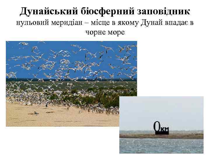 Дунайський біосферний заповідник нульовий меридіан – місце в якому Дунай впадає в чорне море