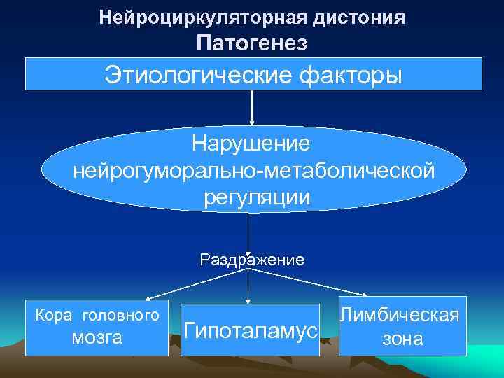 Нейроциркуляторная дистония Патогенез Этиологические факторы Нарушение нейрогуморально-метаболической регуляции Раздражение Кора головного мозга Гипоталамус Лимбическая