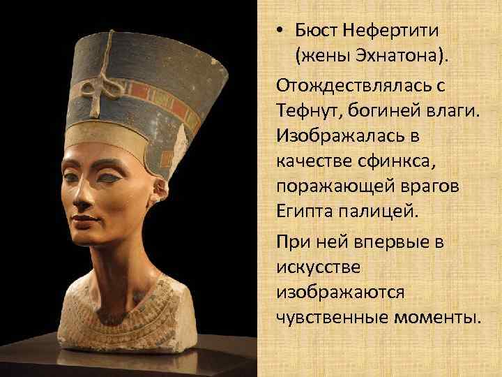  • Бюст Нефертити (жены Эхнатона). Отождествлялась с Тефнут, богиней влаги. Изображалась в качестве