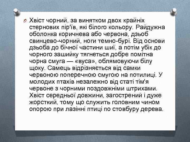 O Хвіст чорний, за винятком двох крайніх стернових пір'їв, які білого кольору. Райдужна оболонка