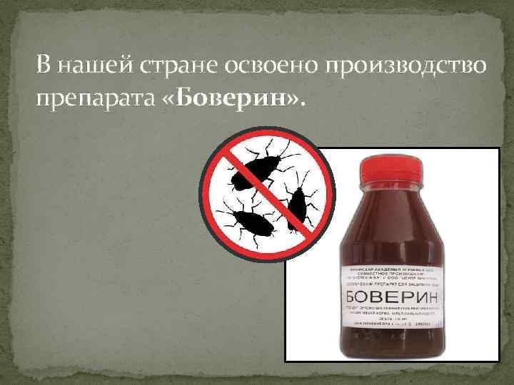 В нашей стране освоено производство препарата «Боверин» . 