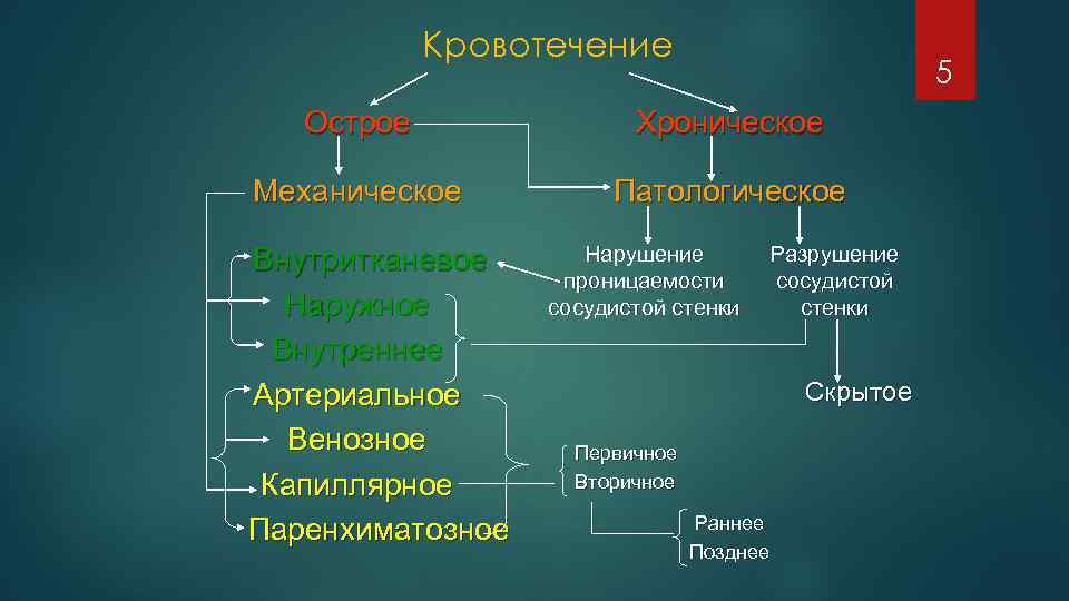 Кровотечение 5 Острое Хроническое Механическое Патологическое Внутритканевое Наружное Внутреннее Артериальное Венозное Капиллярное Паренхиматозное Нарушение