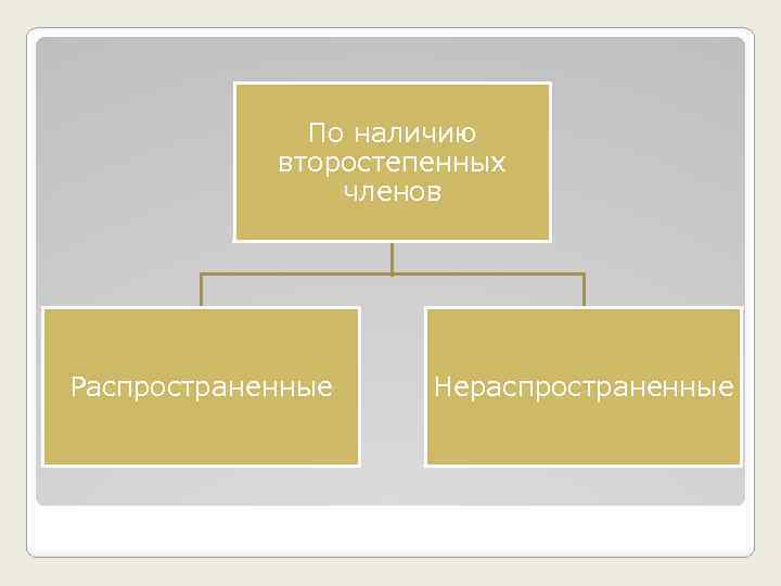 По наличию второстепенных членов распространенные