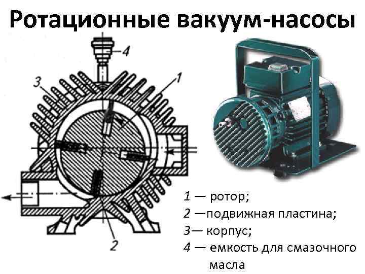 Ротационные вакуум-насосы 1 — ротор; 2 —подвижная пластина; 3— корпус; 4 — емкость для