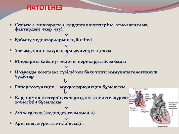 ПАТОГЕНЕЗ Сезімтал миокардтың кардиомиоциттеріне этиологиялық фактордың әсер етуі Қабыну медиаторларының бөлінуі Зақымданған жасушалардың деструкциясы