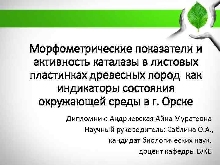 Морфометрические показатели и активность каталазы в листовых пластинках древесных пород как индикаторы состояния окружающей