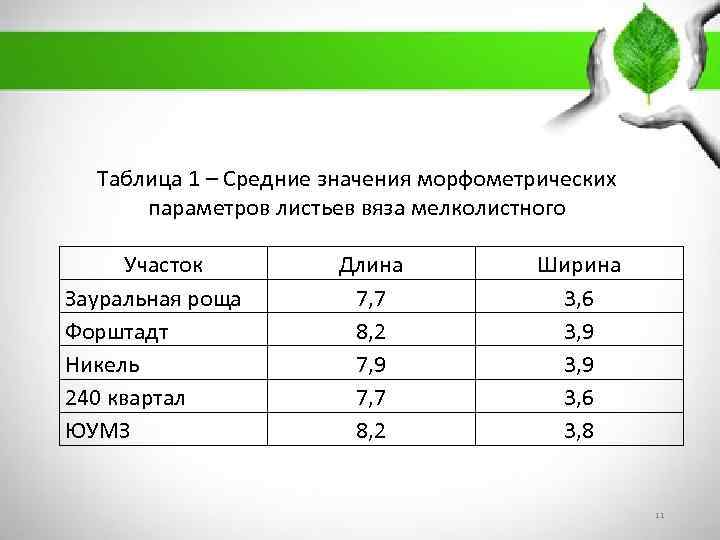 Таблица 1 – Средние значения морфометрических параметров листьев вяза мелколистного Участок Зауральная роща Форштадт