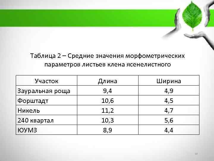 Таблица 2 – Средние значения морфометрических параметров листьев клена ясенелистного Участок Зауральная роща Форштадт