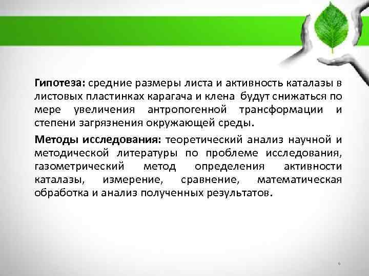 Гипотеза: средние размеры листа и активность каталазы в листовых пластинках карагача и клена будут