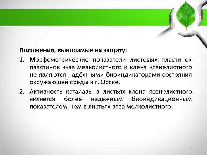 Положения, выносимые на защиту: 1. Морфометрические показатели листовых пластинок вяза мелколистного и клена ясенелистного