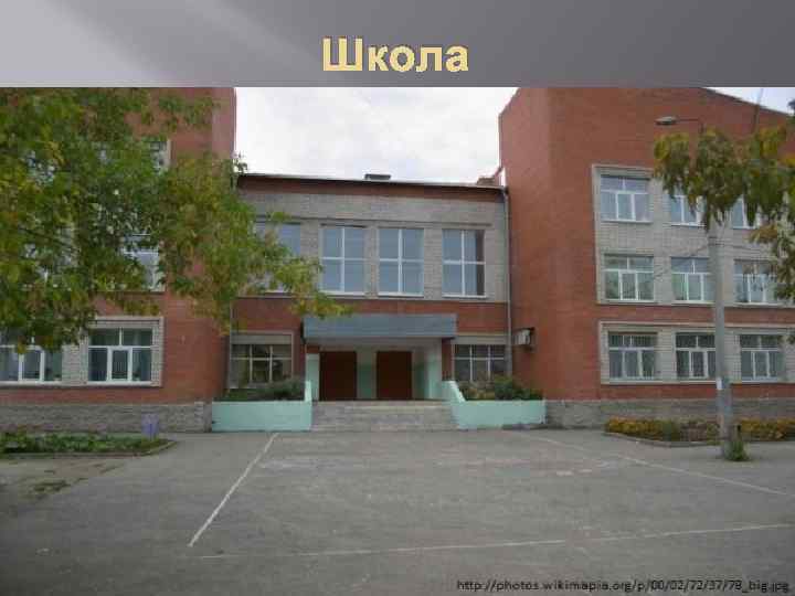 Школа 