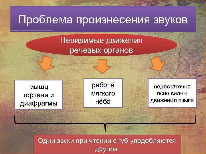 Проблема произнесения звуков Невидимые движения речевых органов мышц гортани и диафрагмы работа мягкого нёба