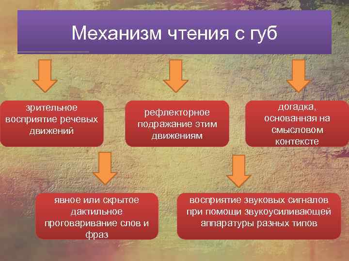 Механизм чтения с губ зрительное восприятие речевых движений рефлекторное подражание этим движениям явное или