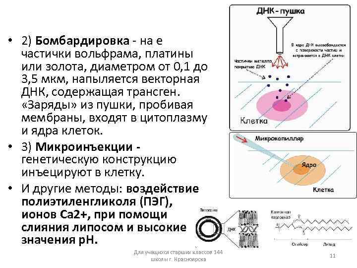  • 2) Бомбардировка - на е частички вольфрама, платины или золота, диаметром от