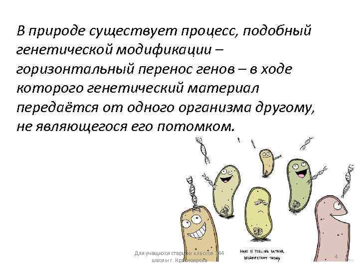 В природе существует процесс, подобный генетической модификации – горизонтальный перенос генов – в ходе