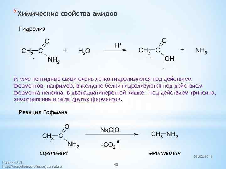 *Химические свойства амидов Гидролиз In vivo пептидные связи очень легко гидролизуются под действием ферментов,