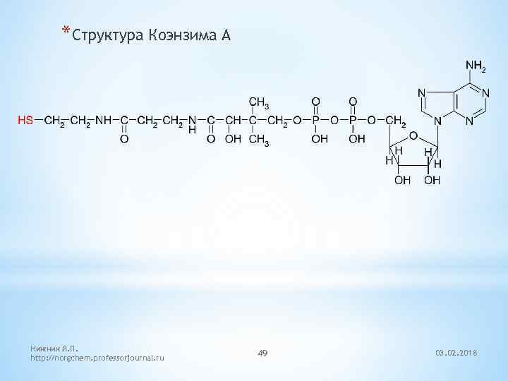 *Структура Коэнзима А Нижник Я. П. http: //norgchem. professorjournal. ru 49 03. 02. 2018