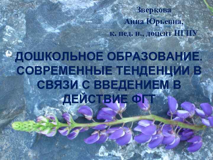 Зверкова Анна Юрьевна, к. пед. н. , доцент НГПУ ДОШКОЛЬНОЕ ОБРАЗОВАНИЕ. СОВРЕМЕННЫЕ ТЕНДЕНЦИИ В